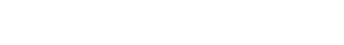 Road To The Horse